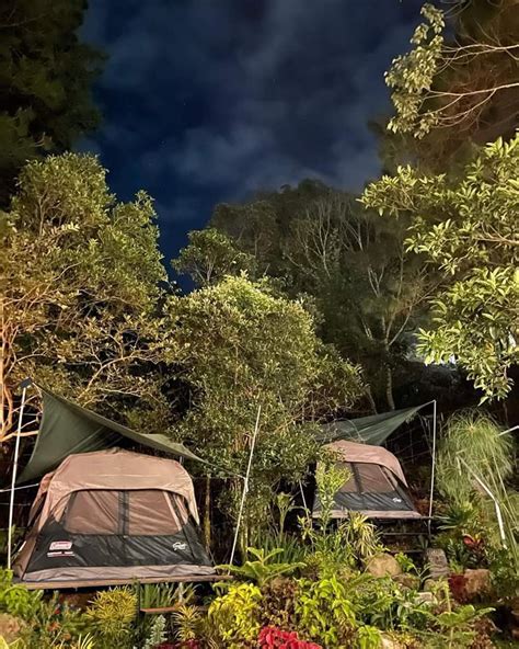 Baguio Camping: Campsites Around and Near Baguio.